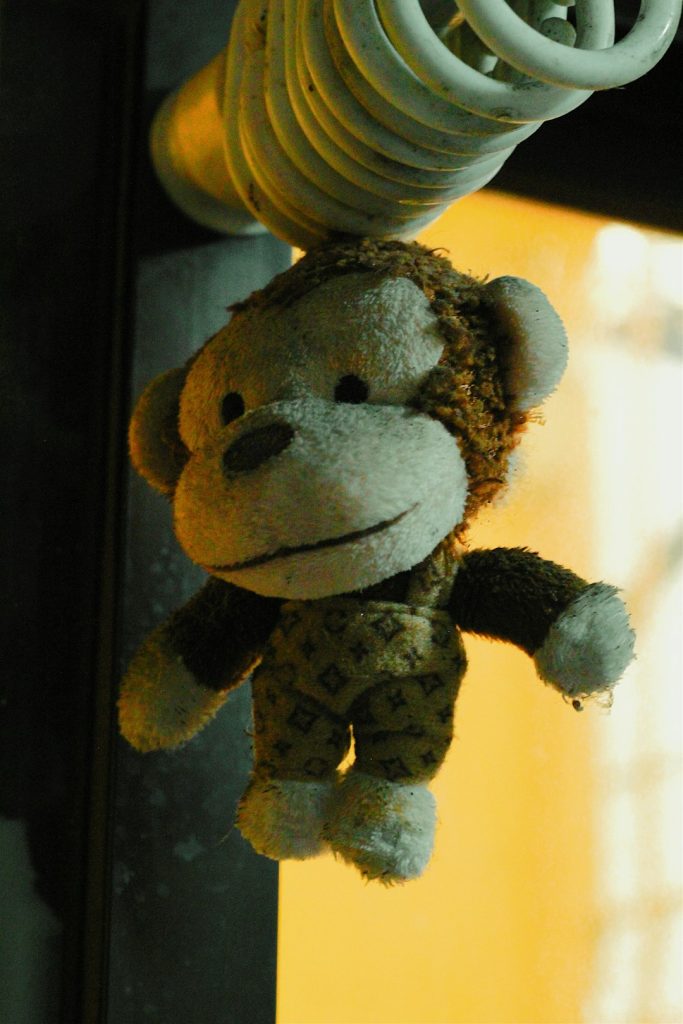 a-stuffed-monkey-hanging-from-a-light-fixture-dtifxatm4io
