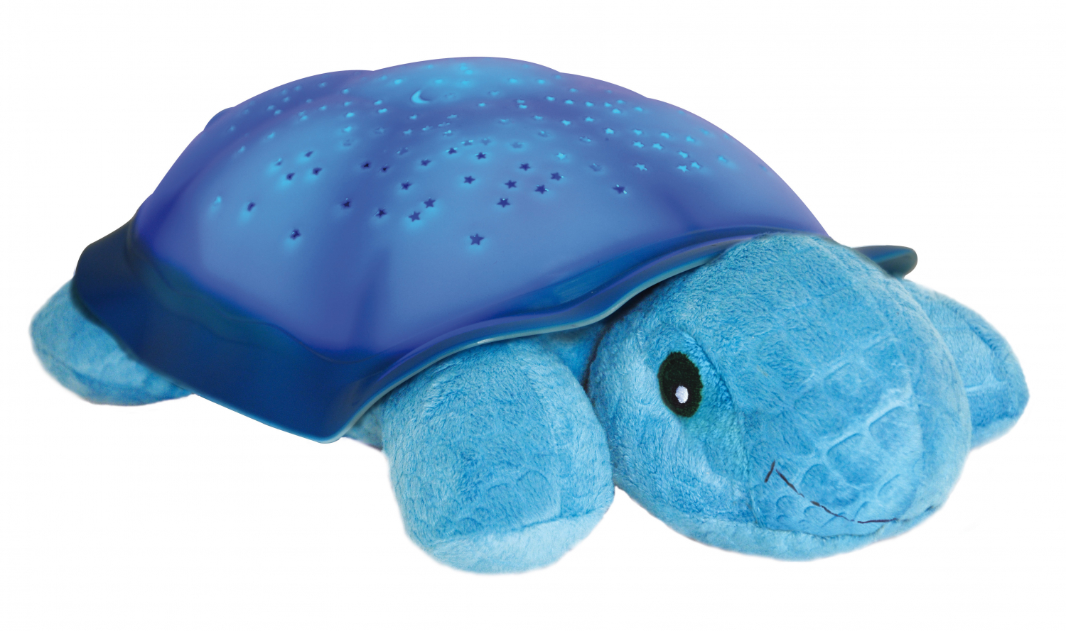tortuga crepuscular azul tortuga crepuscular azul