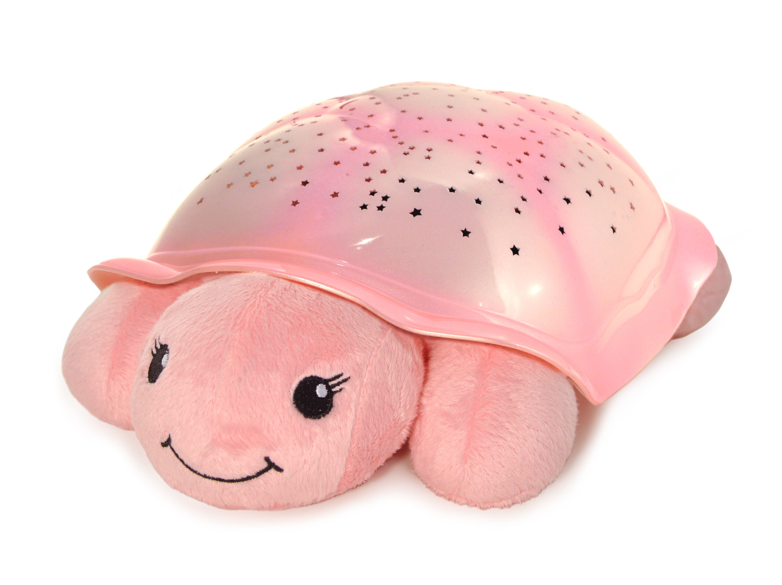 tortuga crepuscular, rosa tortuga crepuscular, rosa