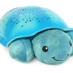 tortuga crepuscular aqua