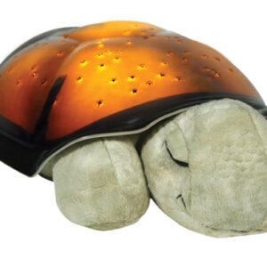 tortuga crepuscular mocha