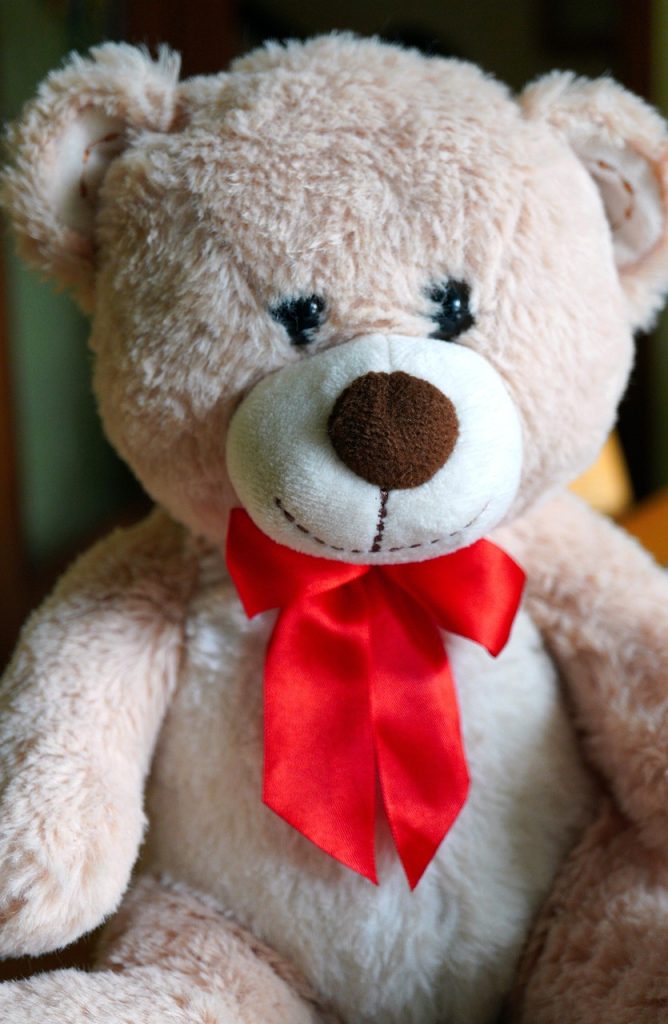 teddy bear, bear, toy, stuffed toy, plush toy, stuffed animal, cuddly, cute